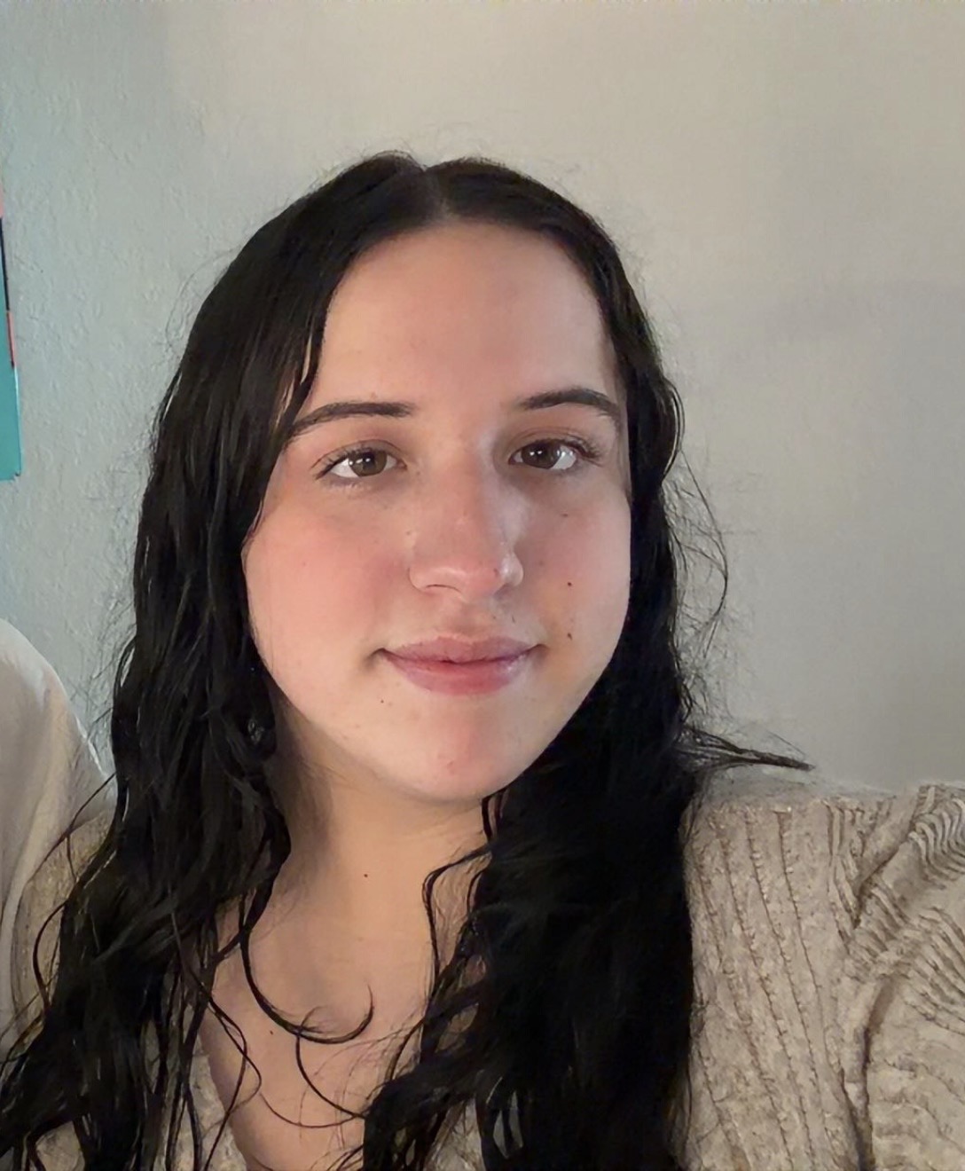 Brenda Avila Mendez, Independent